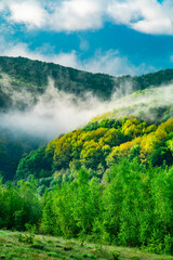 morning fog in the pea. Mountain hills are covered with trees on which fog in the morning light the sky is covered with clouds on a cool spring day.