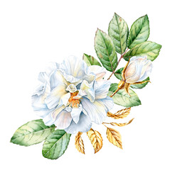 Obraz premium Watercolor rose bouquet. Realistic arrangement with white briar flower, green and golden leaves. Botanical floral illustration for Christmas cards
