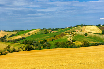 Rural landscape near Ostra Vetere and Cingoli, Marche, Italy