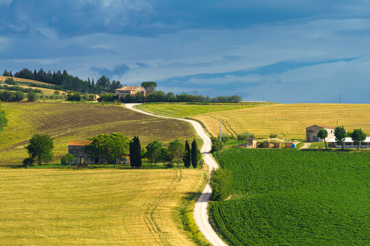 Rural landscape near Ostra Vetere and Cingoli, Marche, Italy