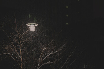 A snowy night