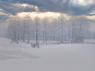 Winter in Poland, frozen lake, frozen river, winter forests, animal footprints in the snow in the forest,podkarpackie county, Poland                                                                