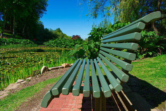 Bench By A Lake In The Mt Lofty Botanic Gardens, Adelaide Hills, South Australia