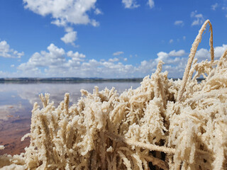 Vega Baja del Segura - Torrevieja - Salinas de Torrevieja, un lago salado, un paraje natural donde los atardeceres son mágicos y los reflejos y formaciones salinas son un espectáculo de la naturaleza