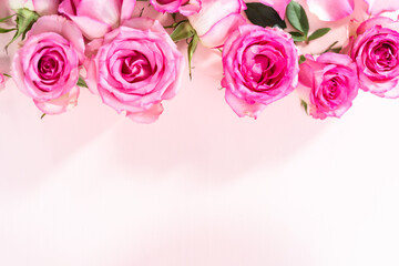 Pink roses
