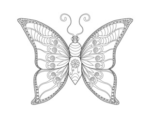 Butterfly coloring page. Black and white line art. Coloring book for adults.