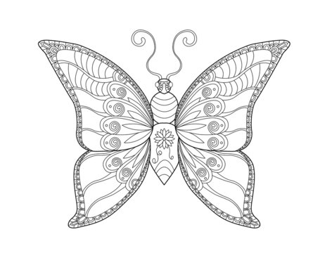 Butterfly coloring page. Black and white line art. Coloring book for adults.