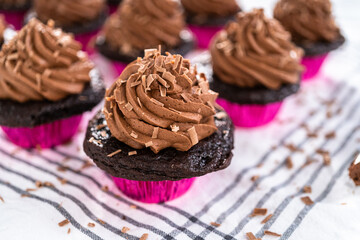 Chocolate ganache cupcake