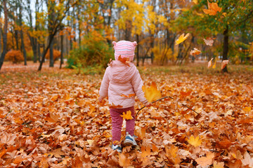 Child girl sitting on fallen leaves in autumn city park. Beautiful nature, trees with yellow leaves.