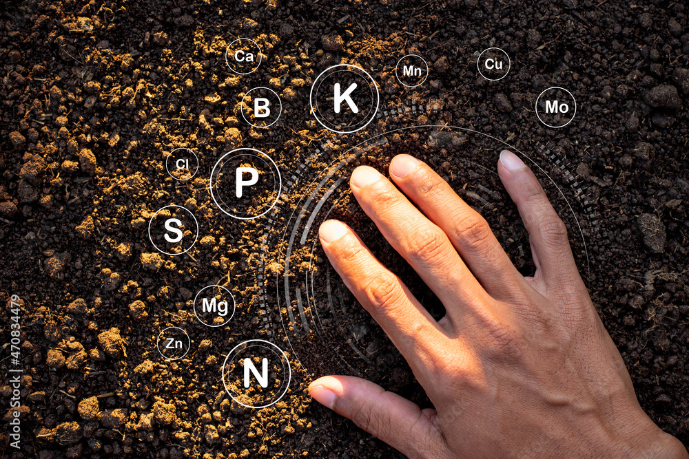 Wall mural the man's hand was touching the soil rich in various minerals.