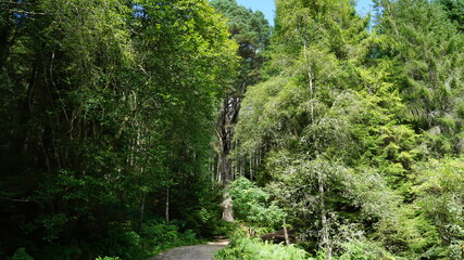 Beautiful Loch Lomond Scotland lake, forest and mountain landscapes