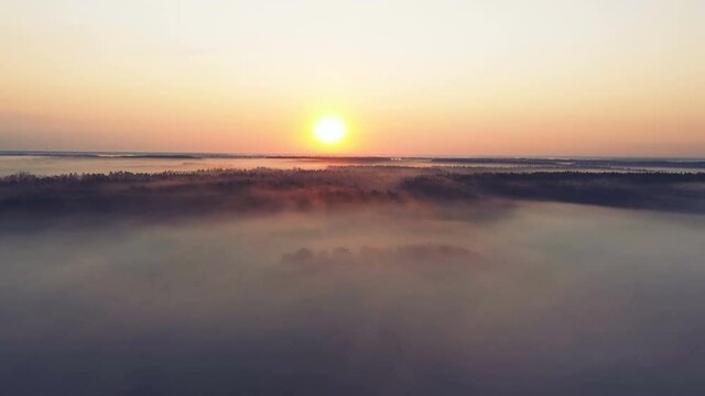 Beautiful flight over clouds, and wood in sunrise time with red sun. Aerial landscape
