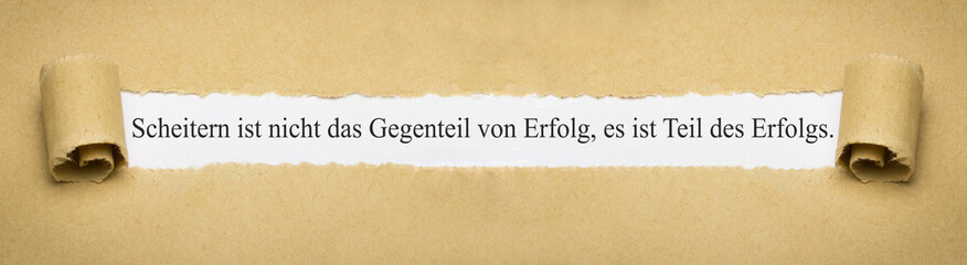 Scheitern ist nicht das Gegenteil von Erfolg, es ist Teil des Erfolgs.