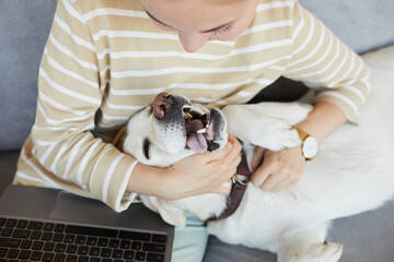Top view close up of young woman cuddling with white Labrador dog at home, copy space