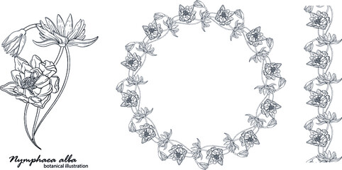 Floral vector wreath with lily flowers. Floral