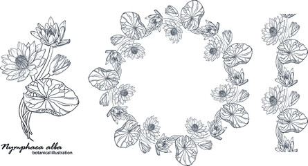 Floral vector wreath with lily flowers. Floral