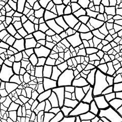 Obraz premium Cracked soil of barren land. Wasteland texture black and white overlay