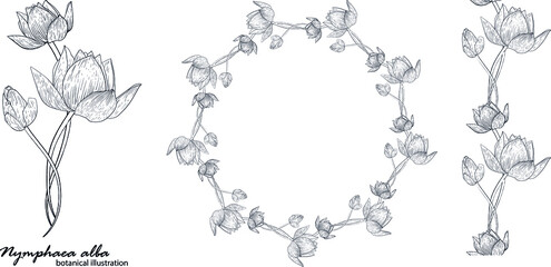 Floral vector wreath with lily flowers. Floral