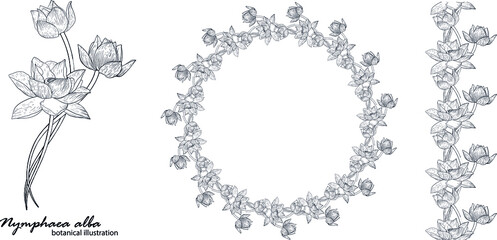 Floral vector wreath with lily flowers. Floral