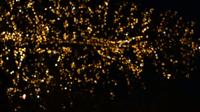 luci natale 