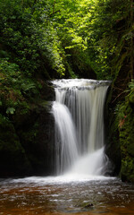 Fototapeta na wymiar waterfall in the black forest