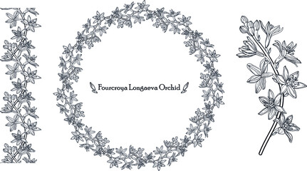 Graphic vector floral wreath with archidia flowers. Black and white drawing