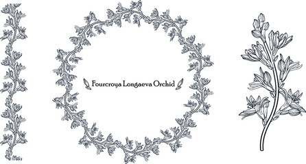 Graphic vector floral wreath with archidia flowers. Black and white drawing