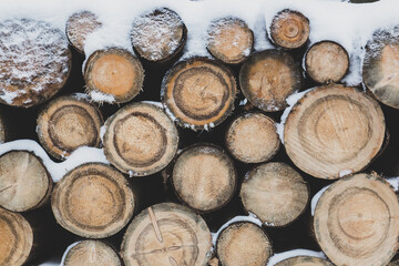 The logs are dusted with snow - obrazy, fototapety, plakaty