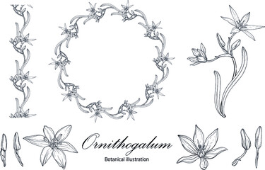 Graphic vector floral wreath with archidia flowers. Black and white drawing