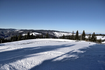Fototapeta na wymiar winter landscape with snow covered trees
