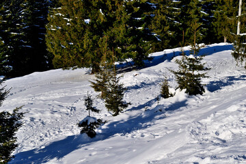 ski resort in the mountains