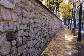 old street in autumn stone wall