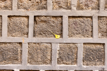 stone wall texture fallen leaves