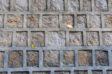 stone wall background fallen leaves