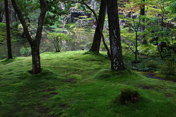 ジョブズの愛した苔寺