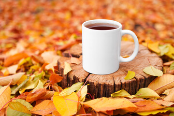 White cup with a hot drink among yellow leaves in the forest. Front view mockup for advertising, design and logo.