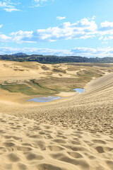 秋の鳥取砂丘　鳥取県鳥取市　Tottori Sand Dunes in Autumn. Tottori-ken Tottori city