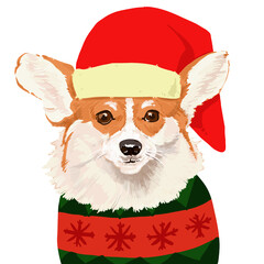 dog wearing santa hat