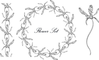 Floral set with black and white delicate flowers. Romantic set