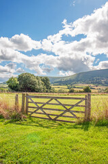 Farm gate in the mountains of Wales.