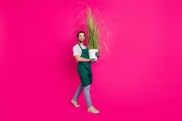 Photo of cheerful dilligent store worker deliver pot plant wear gloves apron t-shirt isolated pink...