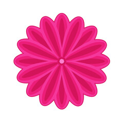 Pink double petal sticker flower with shadow on white background