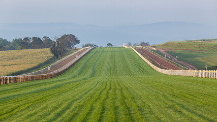 Fototapeta na wymiar Race Horse Grass Turf Track Training Panoramic Horizon Landscape.