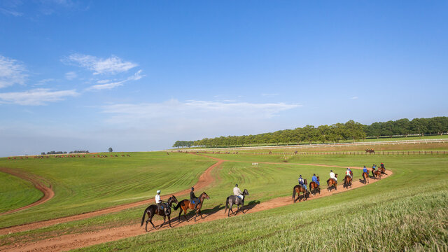 Horses Riders Countryside Morning Training Landscape