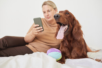 Portrait of Irish Setter dog ling on bed with woman using smartphone, copy space