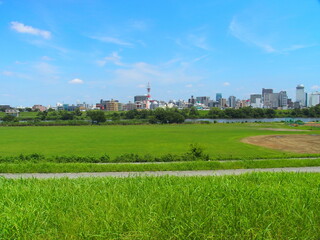 Fototapeta na wymiar 埼玉県側から千葉県側を土手から見る梅雨晴れの江戸川河川敷風景