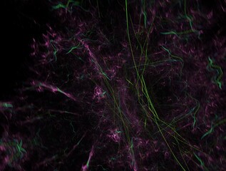 Imaginatory fractal abstract background Image