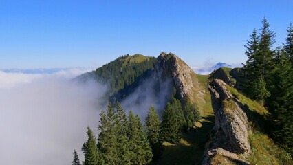Gratwanderung vom Steineberg zur grauen Wand in der Nagelfluhkette