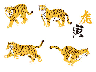 Fototapeta na wymiar 虎のイラスト(動物、干支、十二支、寅、可愛い、トラ、お正月、寅年、和、ネコ科、可愛い、かっこいい、虎柄、アニマル、野生、躍動感、跳躍) Illustration of tiger (animals, zodiac signs, cute, cool)
