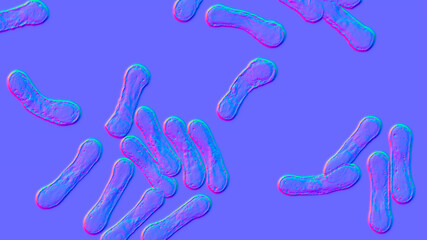 Corynebacterium bacteria, Gram-positive rod-shaped bacterium that causes diphtheria